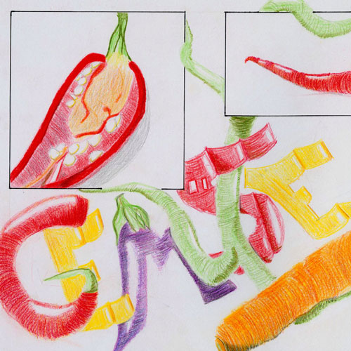 Buntstiftzeichnung zum Thema Gemüse. Enstanden in der Vorlesung Darstellerische Zeichnung.